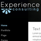 experience - Websitebaker Templates